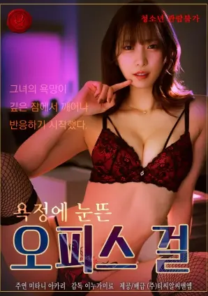 开发者